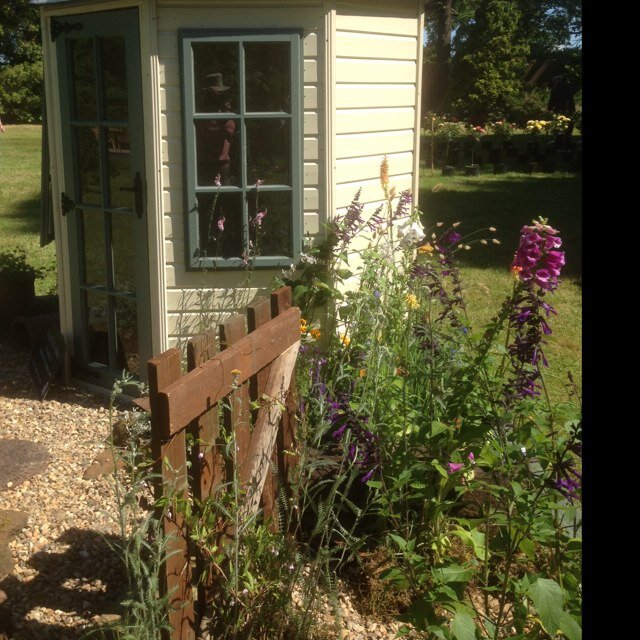 DingleyDellGC's profile picture. 