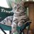 52hugocat's profile image
