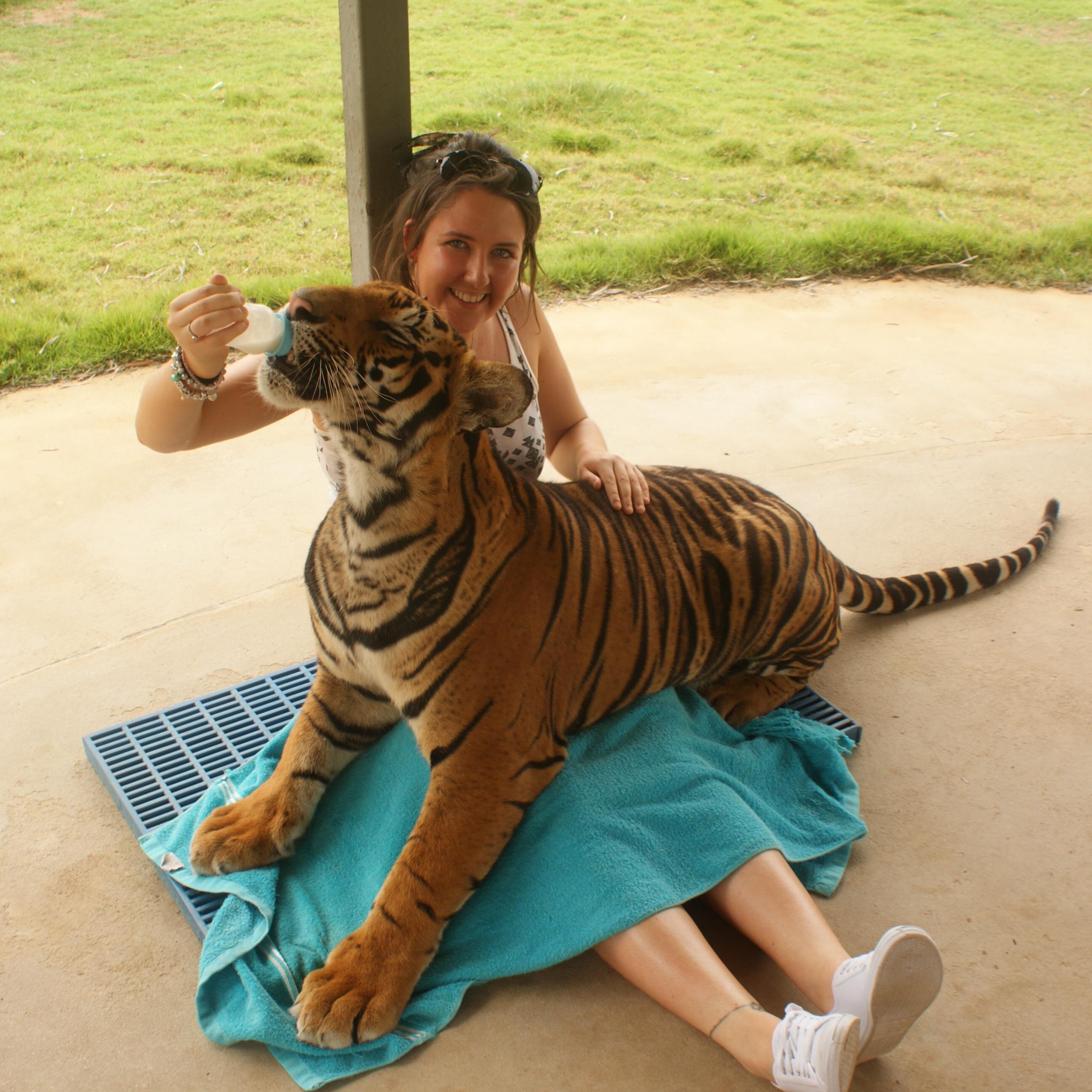 Claiiireeee's profile picture. Web and Multimedia Computing. Graphic Design ambitions