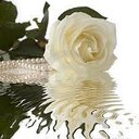 khalil barakat - @Barakat45K - Twitter