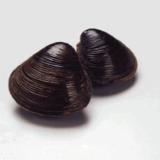 jxptla's profile picture. 