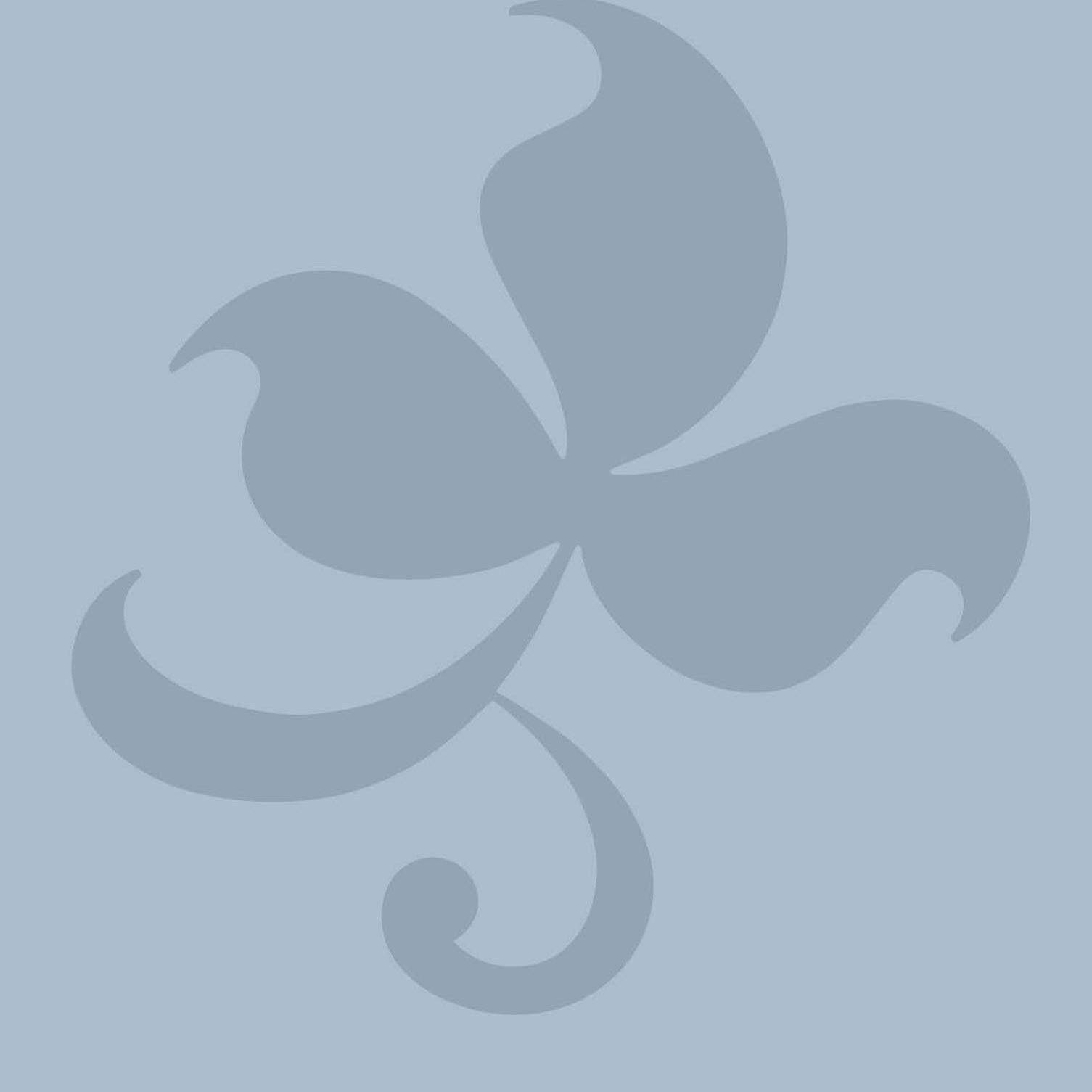 TBSkills's profile picture. Providing accredited training in Traditional Building Skills to the industry and the public & loving anything to do with preserving our built heritage