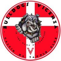 SubbuteoVi's profile picture. Il club di Calcio Tavolo della città di Vicenza ! Se volete divertirvi insieme a noi non esitate e veniteci a trovare !