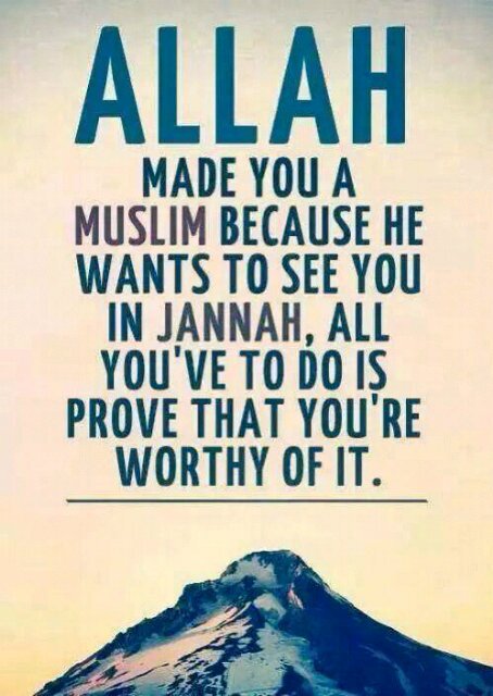 Halidu2020's profile picture. Simple and hones