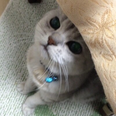 mi_s10's profile picture. 