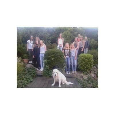 EviRoes's profile picture. football is my life