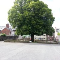 Mount Street Junior School Brecon(@MountStreetJ) 's Twitter Profile Photo