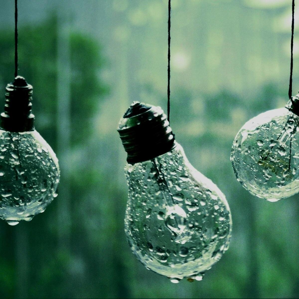 Shreyashah17's profile picture. 