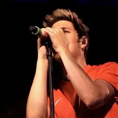 Niall harry liam louis zayn 1D