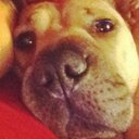 Lorraine Lamb - @fivo1960 - Twitter