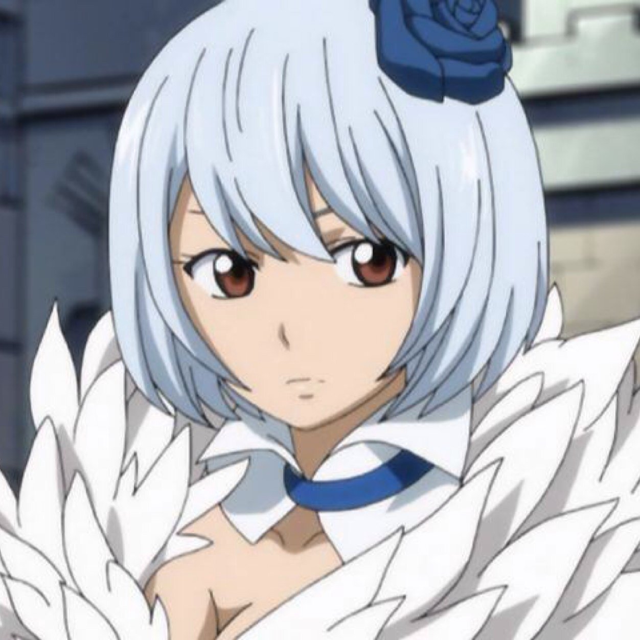 ユキノ アグリア Yukino Ft Twitter ユキノ アグリア Yukino Ft Twitter