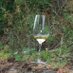 cardiffwine (@cardiffwine) Twitter profile photo