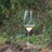 cardiffwine's profile image