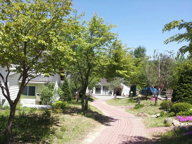 geus777's profile picture. 대한민국은 민주공화국이다. 참신한 진보와 건전한 보수가 균형잡힌 상식이 통하는 나라를 만들고 싶다.