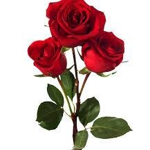 @twittytwitty24