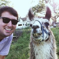 BCMaj (@bcmaj) 's Twitter Profile