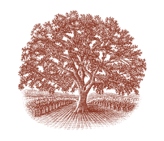 CarvalhoWinery's profile picture. 