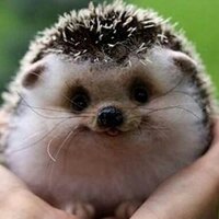 jenny davis (@davismarcuk) 's Twitter Profile