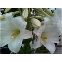 Glenn Alterman - @GlennBrian - Twitter