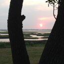 Roseann Hill - @roseyEmIsle - Twitter