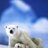 DavidEr57227836's profile image