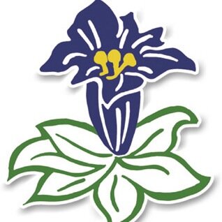 HotelGenziana's profile picture. Discover the Dolomites; the best ski slopes in Europe and fantastic lanscapes during the Summer season. Don't you trust us? Come in! WE'RE OPEN