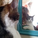 Deirdre Cahill - @diddles81 - Twitter