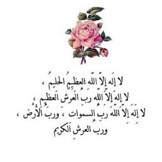Hadeel_zh Profile Picture