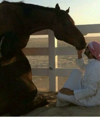 مجموعة أنسان ..شاعر خيال ..لي ذوق مميز وأحساس خاص والوفاء طبعي..