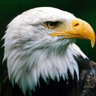 SKunkele's profile picture. Fan von Musik abseits des Mainstream. Fan von Linux, des KSC und der Formel1. Immer neugierig.