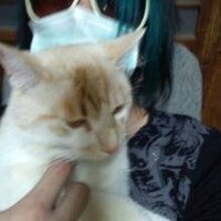 なな(取引垢)チェキ買取停止中 (@xxtake7xx) 's Twitter Profile