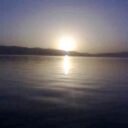 Brian Cottle - @BrianCottle1 - Twitter