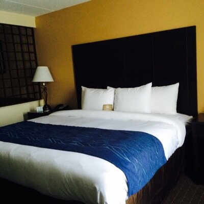 Comfort Inn Oakridge Orcomfortinn Twitter