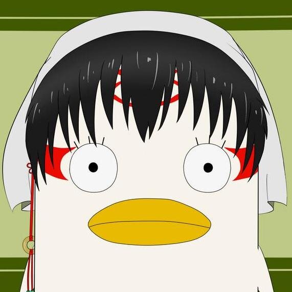 白野さんのプロフィール画像