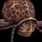 KarenEgan15's profile image