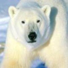 BiancaChandle17's profile picture. 