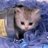 Jennife44609539's profile image