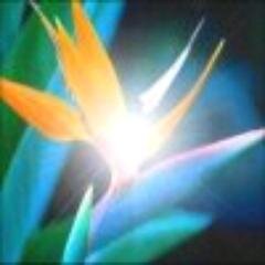 ChrisDark14's profile picture. 