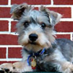 CherylB26145758's profile picture. 