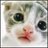 AndrewP95024468's profile image