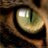 AndreaFlynn14's profile image