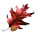 ForestryUSA (@forestryusa) Twitter profile photo
