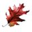 ForestryUSA's profile image