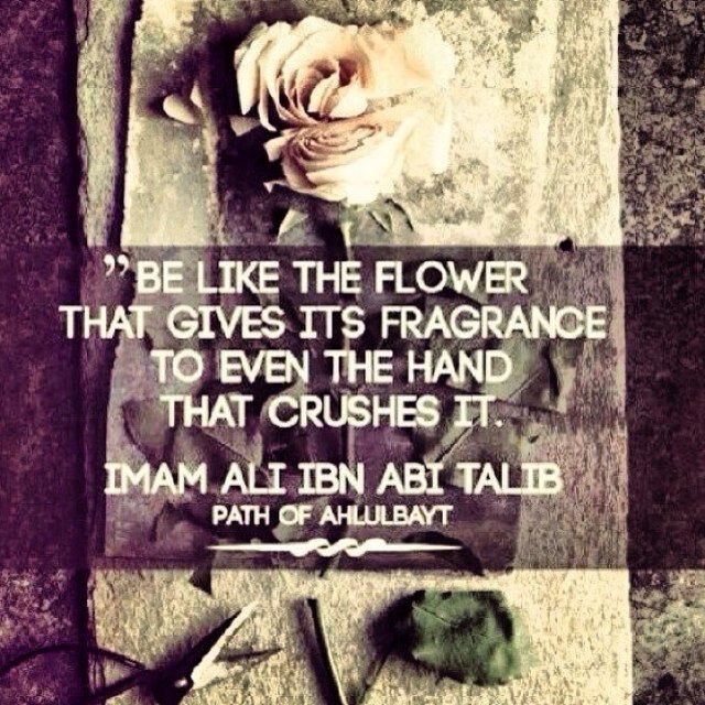 Nothing to say ~