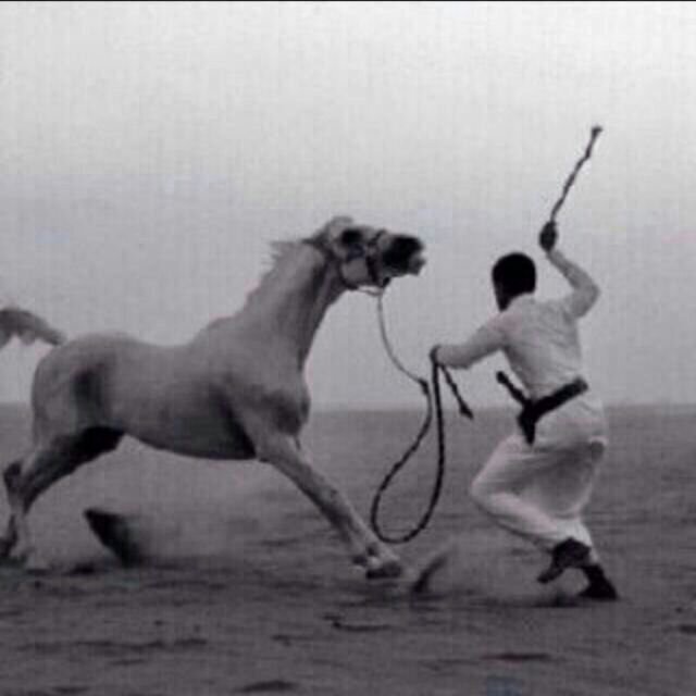 asml770938's profile picture. 