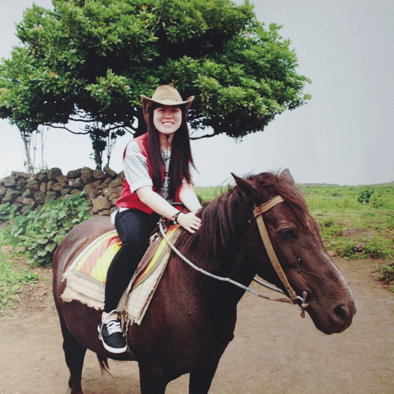 joeylamyiqi's profile picture. 