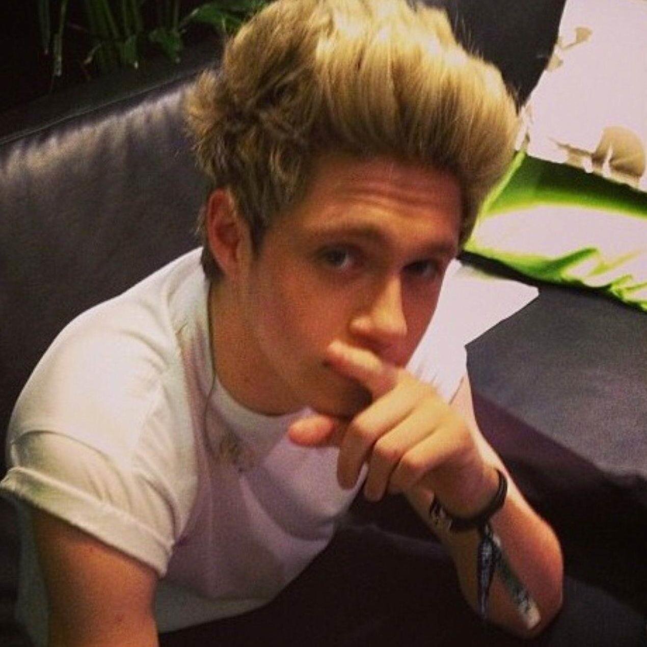 Only DIRECTIONER 1D !!!