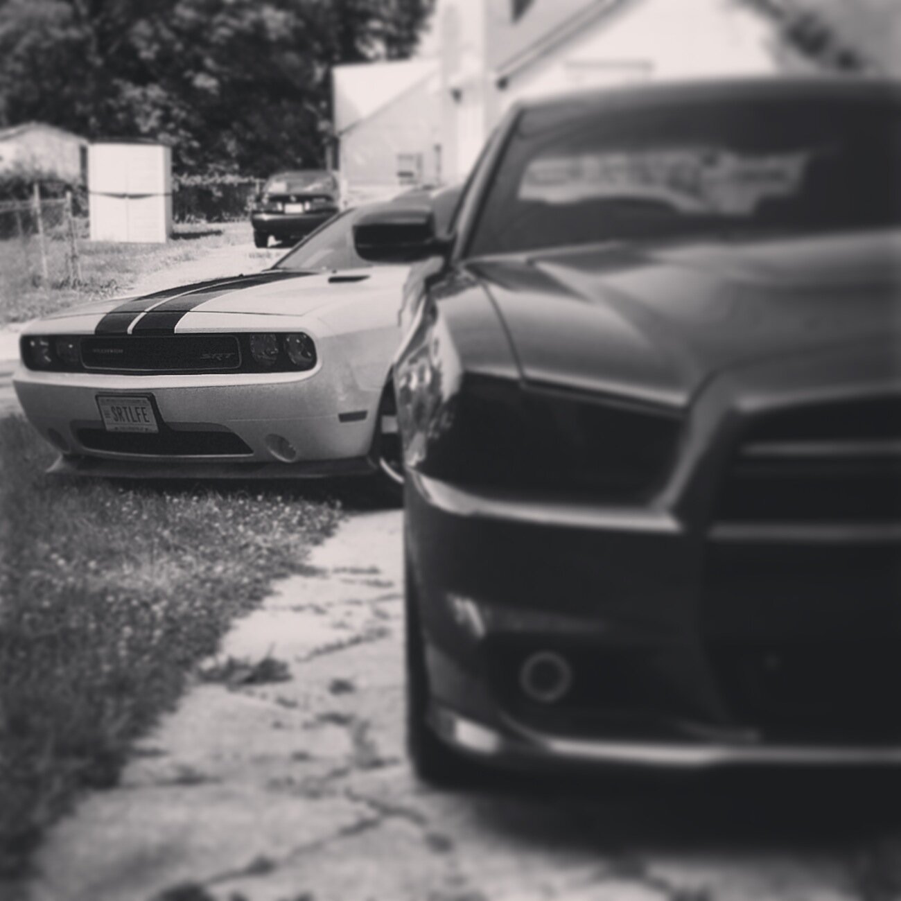 Home of the SRT lover, owner or enthusiast. Get the latest news, pics, videos and user submitted SRT content. http://t.co/pwwBStSPFm