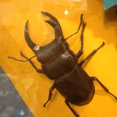 紙技工房さんのプロフィール画像