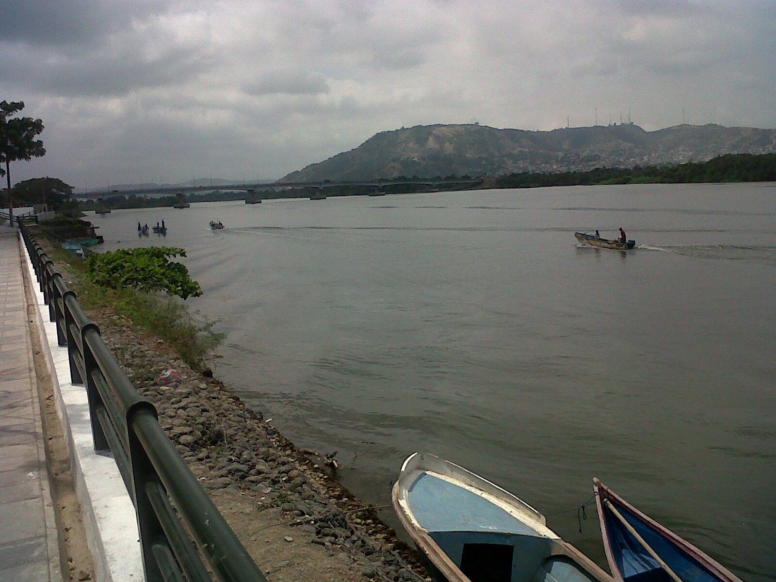 esthertoral86's profile picture. 